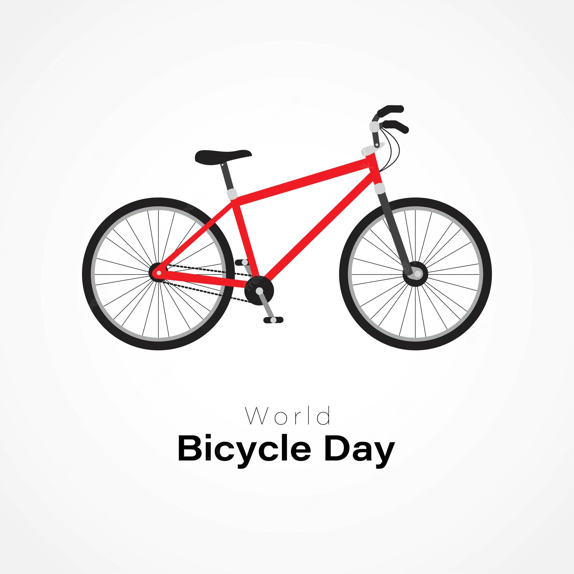 Kriva Palanka: How to fix your Bike – peer to peer workshop Marking World Bicycle Day
