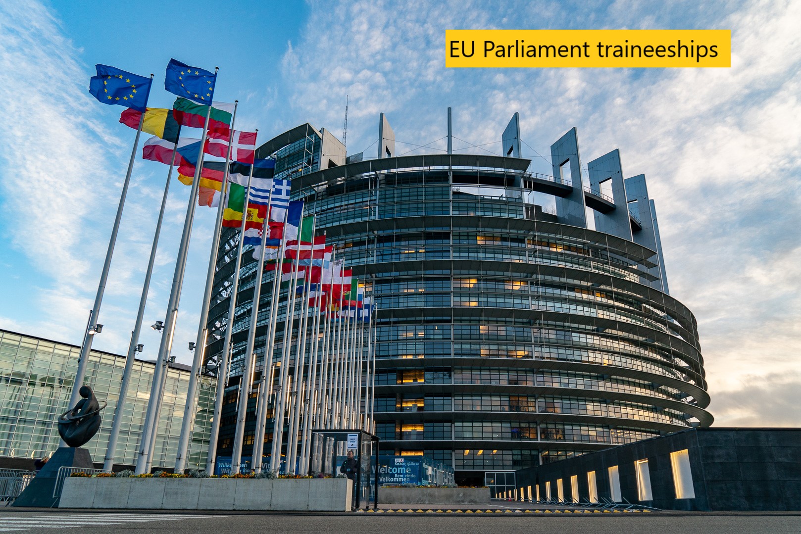 European Parliament traineeship